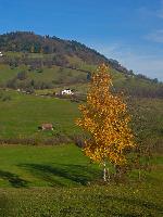 Bild 2 (4 Bildaufrufe)