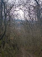 Bild 8 (15 Bildaufrufe)