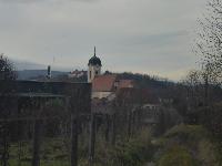 Bild 9 (15 Bildaufrufe)