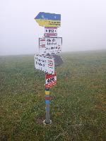 Plambacheck (33 Bildaufrufe)