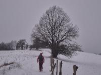 Kuhberg (33 Bildaufrufe)