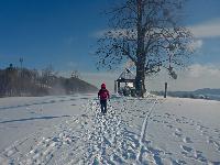 Rudolfsh&ouml;he (22 Bildaufrufe)