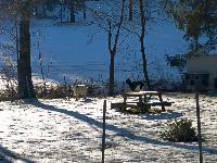 Edlitzberg (18 Bildaufrufe) Edlitzberg (18 Bildaufrufe)