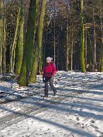 Edlitzberg (21 Bildaufrufe)