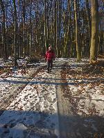 Edlitzberg (18 Bildaufrufe)