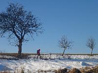 R&ouml;sselberg (21 Bildaufrufe)