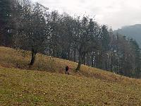 Gaisberg (34 Bildaufrufe)