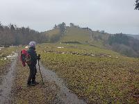 Gaisberg (26 Bildaufrufe) Gaisberg (26 Bildaufrufe)