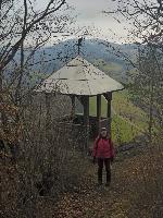 Hauswald (30 Bildaufrufe) Hauswald (30 Bildaufrufe)