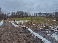 Sch&ouml;nberg (22 Bildaufrufe)