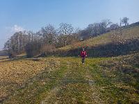 Eiserne Hand (16 Bildaufrufe)