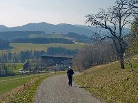 Durlaswaldhöhe (25 Bildaufrufe) Durlaswaldhöhe (25 Bildaufrufe)