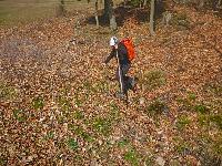 Durlaswaldhöhe (24 Bildaufrufe) Durlaswaldhöhe (24 Bildaufrufe)