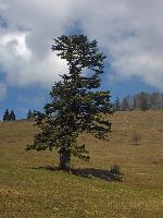 Eisenstein (35 Bildaufrufe)