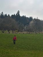 Hummelberg (36 Bildaufrufe)