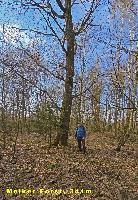 Rainberg (23 Bildaufrufe) Rainberg (23 Bildaufrufe)