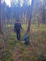 Forst am Berg (22 Bildaufrufe)