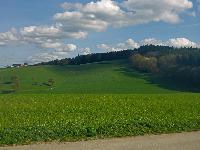 Forst am Berg (25 Bildaufrufe)
