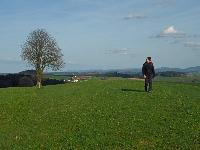Forst am Berg (23 Bildaufrufe)