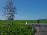 Forst am Berg (20 Bildaufrufe)