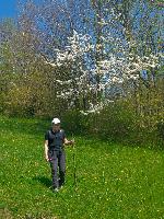 Hackstockloidl (7 Bildaufrufe)