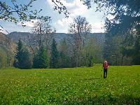 Hackstockloidl (21 Bildaufrufe)