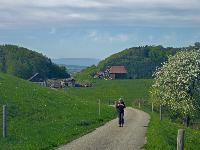 Hirschenberg (7 Bildaufrufe)