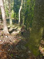 Klausberg (14 Bildaufrufe)