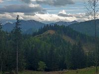 B&auml;renkogel (32 Bildaufrufe)