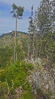 Amaißkogel (17 Bildaufrufe) Amaißkogel (17 Bildaufrufe)