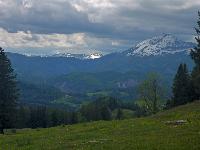 Moserkogel (29 Bildaufrufe)