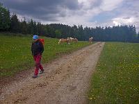 Moserkogel (18 Bildaufrufe)