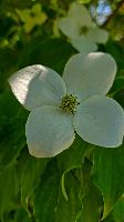 Plabutsch (17 Bildaufrufe) Plabutsch (17 Bildaufrufe)