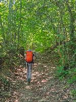 Plabutsch (28 Bildaufrufe) Plabutsch (28 Bildaufrufe)