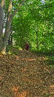 Plabutsch (17 Bildaufrufe) Plabutsch (17 Bildaufrufe)
