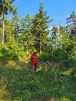 Hoher Gallin (26 Bildaufrufe)