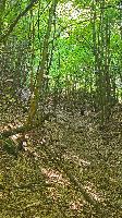 Hoher Gallin (13 Bildaufrufe)