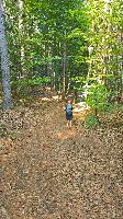 Hoher Gallin (22 Bildaufrufe) Hoher Gallin (22 Bildaufrufe)