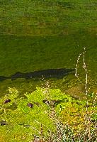 Kremsmauer (43 Bildaufrufe)